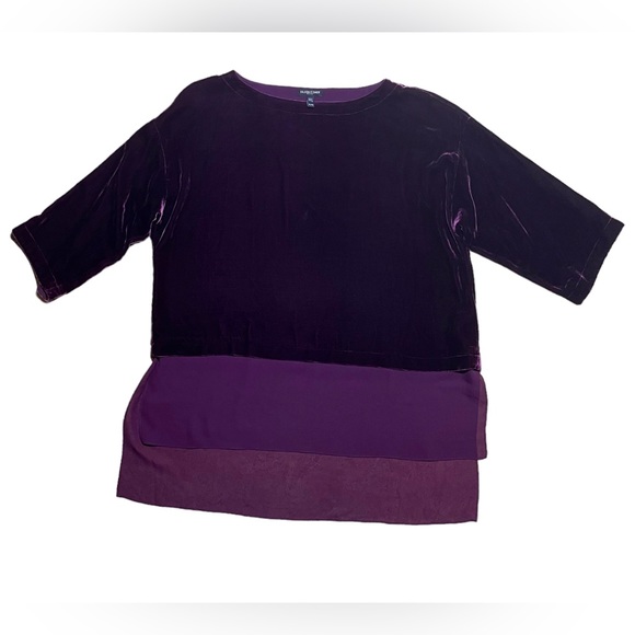 Eileen Fisher Bateau Neck Velvet Rayon Silk Hi-Lo Top In Mauve Sz Petite Large - Picture 8 of 14